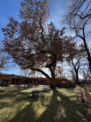 CENTER FOR ACTION AND CONTEMPLATION - Updated February 2026 - 13 Photos