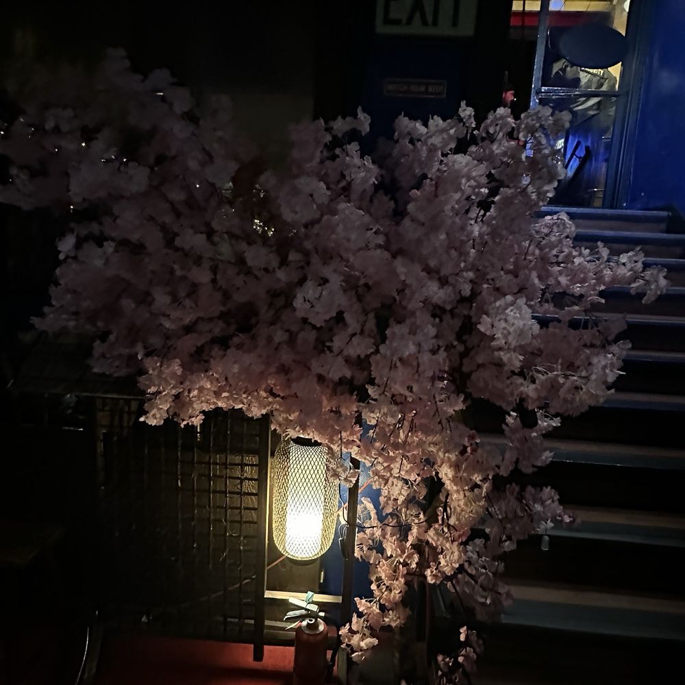 Ryoko's - Sushi Bars Near Me - San Francisco, California Ryoko's - Sushi Bars Near Me - San Francisco, California