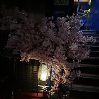 Ryoko's - Sushi Bars Near Me - San Francisco, California Ryoko's - Sushi Bars Near Me - San Francisco, California