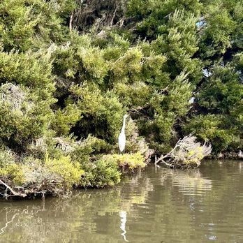 El Estero Park - Parks Near Me - Monterey, California El Estero Park - Parks Near Me - Monterey, California