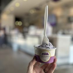 Josh & John's - Purple mountain majesty flavor