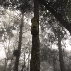 Parque Ecologico Cerro del Borrego