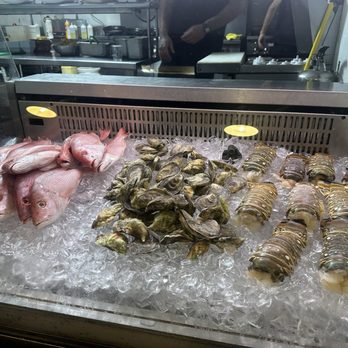 La Cueva del Mar - Fresh seafood - Seafood Near Me - San Juan, Puerto Rico La Cueva del Mar - Fresh seafood - Seafood Near Me - San Juan, Puerto Rico