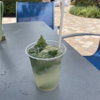 Coconuts Poolside Bar & Grill - Mojito! - Bars Near Me - Orlando, Florida