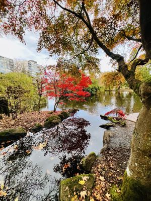 Beacon Hill Park by null