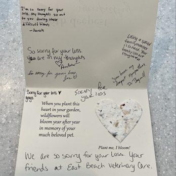 East Beach Veterinary Care - Sympathy card - Veterinarians Near Me - Norfolk, Virginia