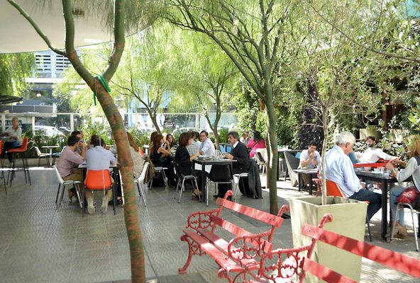 EL GRAN VIDRIO by null