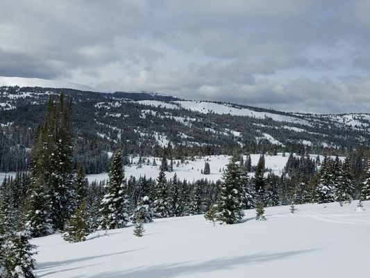 Paragon Guides by null