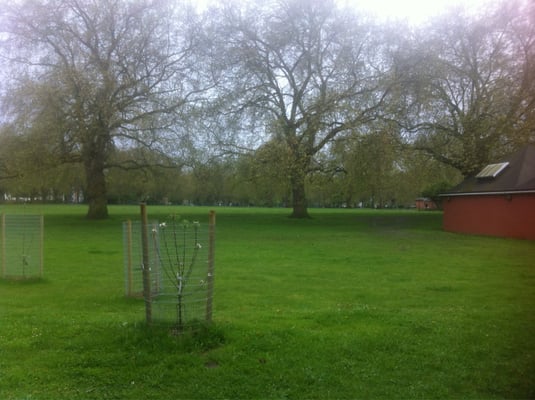 London Fields by null