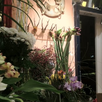 puste-blume - Florists Near Me - Hanover, NI
