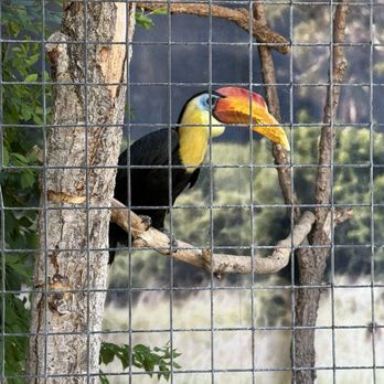 Tracy Aviary - Zoos Near Me - Salt Lake City, Utah