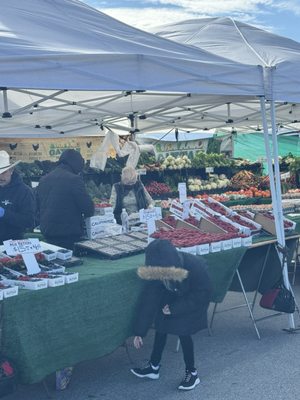 High Desert Farmer’s Market by null