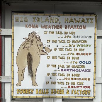 The Original Donkey Ball Store - Candy Stores Near Me - Kealakekua, Hawaii The Original Donkey Ball Store - Candy Stores Near Me - Kealakekua, Hawaii