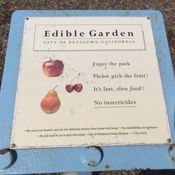 Southgate park - Edible garden here!! Great selection too! - Parks Near Me - Petaluma, California Southgate park - Edible garden here!! Great selection too! - Parks Near Me - Petaluma, California
