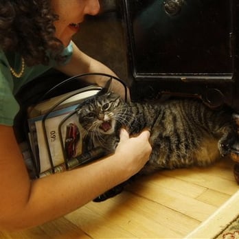 Brownstone Veterinary Care - Dr. Elisabeth Coletti, a Brooklyn-based veterinarian who makes house calls - Veterinarians Near Me