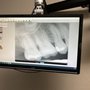 Photo of Tri City MicroEndodontics