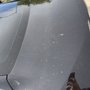 Photo of Sparkles Auto & Pet Wash