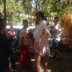 Multicultural Festival