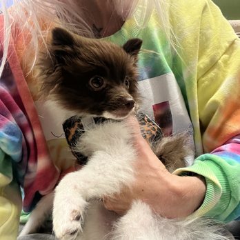 Arrowhead Animal Hospital - Veterinarians Near Me - Westminster, Colorado