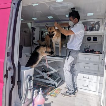 210 Pet Grooming - Pet Groomers Near Me - San Antonio, Texas