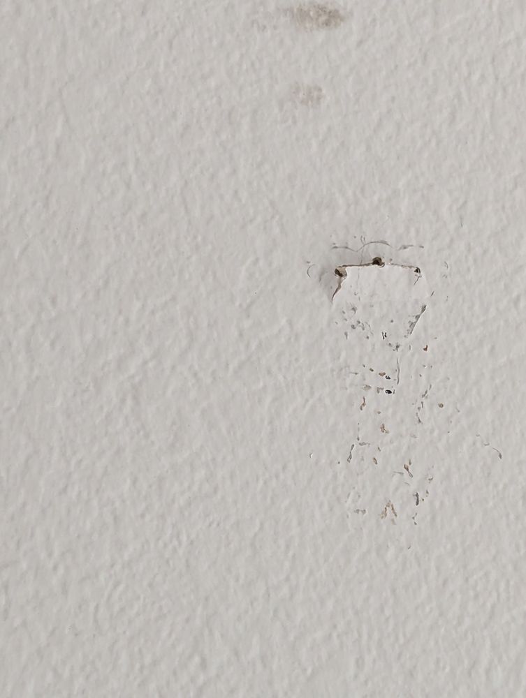 HOME STAGING & FURNITURE RENTAL Updated September 2024