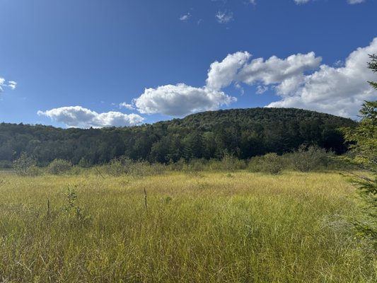 Mountain Top Arboretum by null