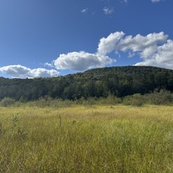 Mountain Top Arboretum - Hidden Marsh