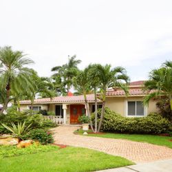 Tree Service Henderson