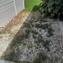 Photo of DMB Junk Removal & Yard Maintenance