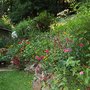 South Shore Lawns & Landscapes