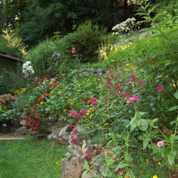 South Shore Lawns & Landscapes