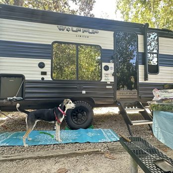 Coe Landing RV Park - RV Parks Near Me - Tallahassee, Florida Coe Landing RV Park - RV Parks Near Me - Tallahassee, Florida