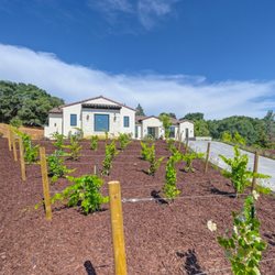 Astra Construction & Design - Landscape project, acre lot. Scope includes Design, Hardscape, Plans and Trees, Ground Cover, Planters