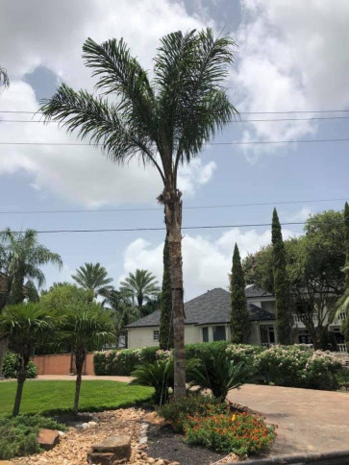 WAGNER TREE FARM Updated May 2024 24 Photos 4135 Ave E, Santa Fe