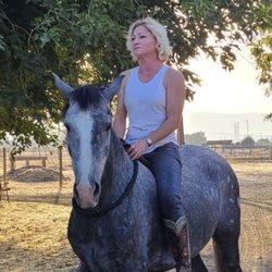 Blue Bandida Horse Training & Lessons