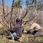 Photo of Wyngate Lawn Service