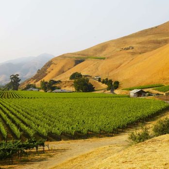 Wine Country Rides - Taxis Near Me Wine Country Rides - Taxis Near Me