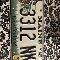 Red Star Grille - License plate menus!
