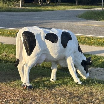 Sisters Ice Cream Shop - Mama cow! - Ice Cream & Frozen Yogurt Near Me - Avon, North Carolina Sisters Ice Cream Shop - Mama cow! - Ice Cream & Frozen Yogurt Near Me - Avon, North Carolina