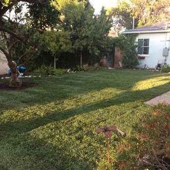 Rosales Tree Care & Landscape Development - Tree Services Near Me - Encino , California Rosales Tree Care & Landscape Development - Tree Services Near Me - Encino , California
