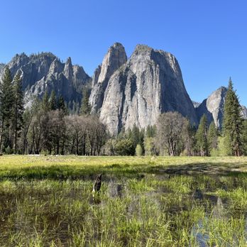 Wild Yosemite - Hiking Near Me - Sonora, California