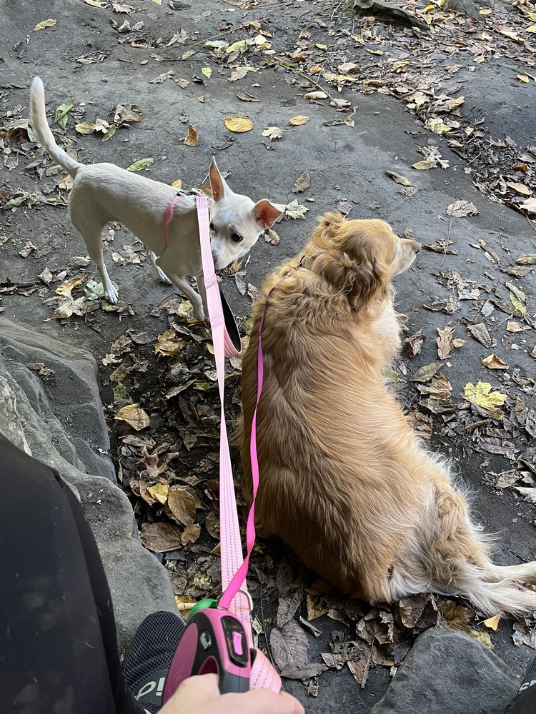 Social spots from Buttermilk Falls Park