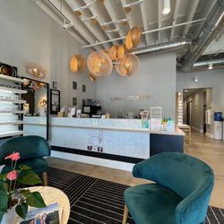 Luna Optometry - View of the front desk from the waiting area