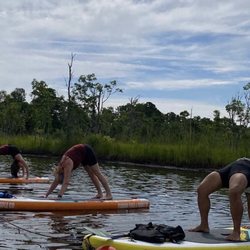 Florida Yoga and Paddle - Two wheels and a down dog