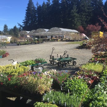 Cascade Greenhouse - More greenhouses and lots to choose from! I loaded up 2 wagons today and want 12 more... - Nurseries & Gardening Near Me - Vancouver, Washington Cascade Greenhouse - More greenhouses and lots to choose from! I loaded up 2 wagons today and want 12 more... - Nurseries & Gardening Near Me - Vancouver, Washington