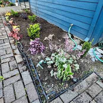 Escobar Landscape & Irrigation - Dug out old bushes, replaced with new plants. - Landscaping Near Me Escobar Landscape & Irrigation - Dug out old bushes, replaced with new plants. - Landscaping Near Me