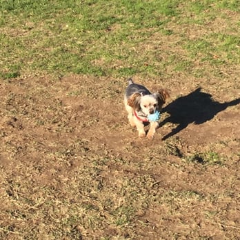University Dog Park - Dog Parks Near Me - Sacramento, California University Dog Park - Dog Parks Near Me - Sacramento, California
