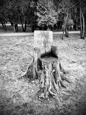 The Morton Arboretum by null