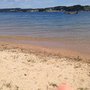 Photo of Lac de Pareloup