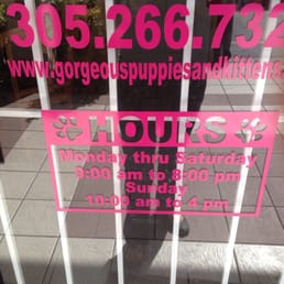Says open at 10 but 1130 and no one here. Puppies u can see from window have no water and don't look well cared for Says open at 10 but 1130 and no one here. Puppies u can see from window have no water and don't look well cared for